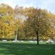 St. James´s Park, London (véletlenül süt a nap :-)))