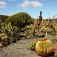 Kaktuszpark
