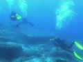 Scuba Dive Crete