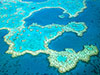 Az eddig megfigyelt legnagyobb mértékű korallpusztulás sújtja az ausztrál Nagy-korallzátony területének egészét - derült ki a legújabb jelentésekből.