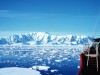 Rendkívüli hidegben, sokszor a vékony jégrétegek miatt úszva túráznak a Catlin Arctic Survey csapat tagjai.