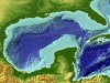 Minden idők legnagyobb oxigénhiányos zónája alakulhat ki idén a Mexikói-öbölben amerikai kutatók első helyszíni mérései szerint.