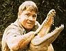 Steve Irwin, a Crocodile Hunter néven ismert ausztrál filmes és természetvédő búvárkodás közben szenvedett halálos balesetet.