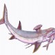 Rekonstruált rajz a szokatlan külsejű karbon időszaki Stetachanti cápáról