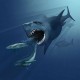 Fantázia rajz a ceteket üldöző óriásfogú cápáról, a Megalodonról