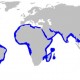 A nagy pörölycápa elterjedtségét ábrázoló térkép