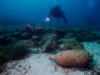 Az ország északi részén található Alonisszosz szigete mellett felfedezett ókori kereskedelmi hajó roncsa lehet az első, amiből egyfajta víz alatti múzeum lesz. 