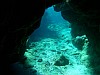 A Dominikai Köztársaság egy víz alatti barlangjában őskori tárgyakat és élőlények maradványait találták.