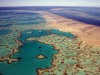 A Nagy-korallzátony kulcsfontosságú szerepet játszik Ausztrália gazdaságának támogatásában.