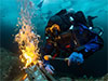 Két rangos víz alatti fotósverseny, a World Shootout és az Underwater Photographer of the Year képeit ajánljuk.