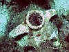 Teljesen érintetlen, 1700 éves hajóroncsot találtak Mallorcától délre.